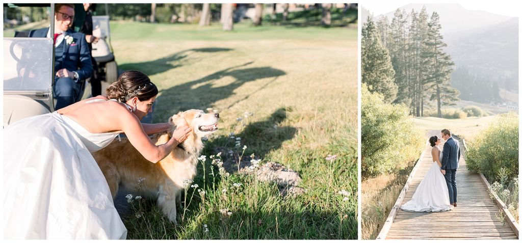 Bride stops to pet golden retriever and bridal portait in the pines