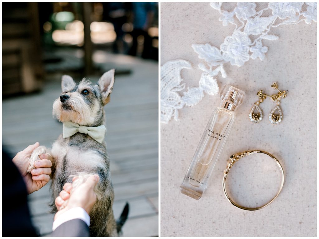 Dog with bowtie and bride details