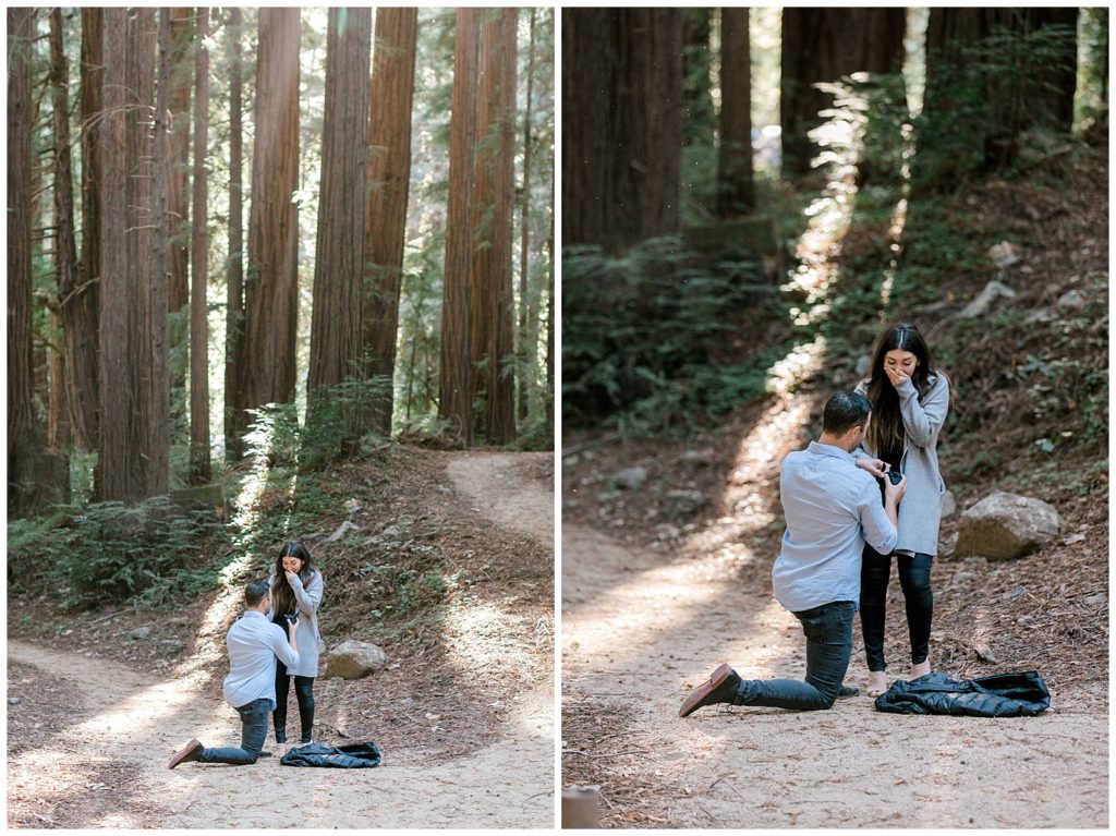 Surprise engagement in Big Sur redwoods, photo by AGS Photo Art