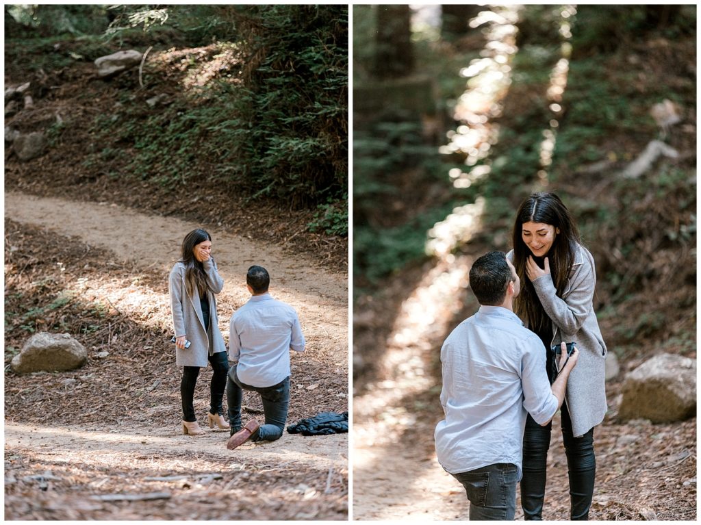 Guy gets down on one knee and proposes in redwoods in Big Sur