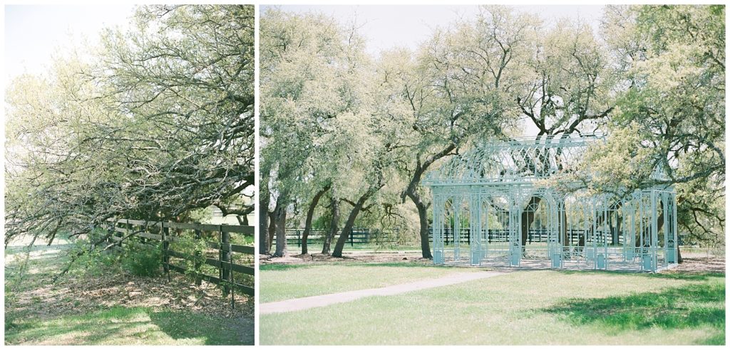 Ma Maison wedding venue green cathedral and trees in spring