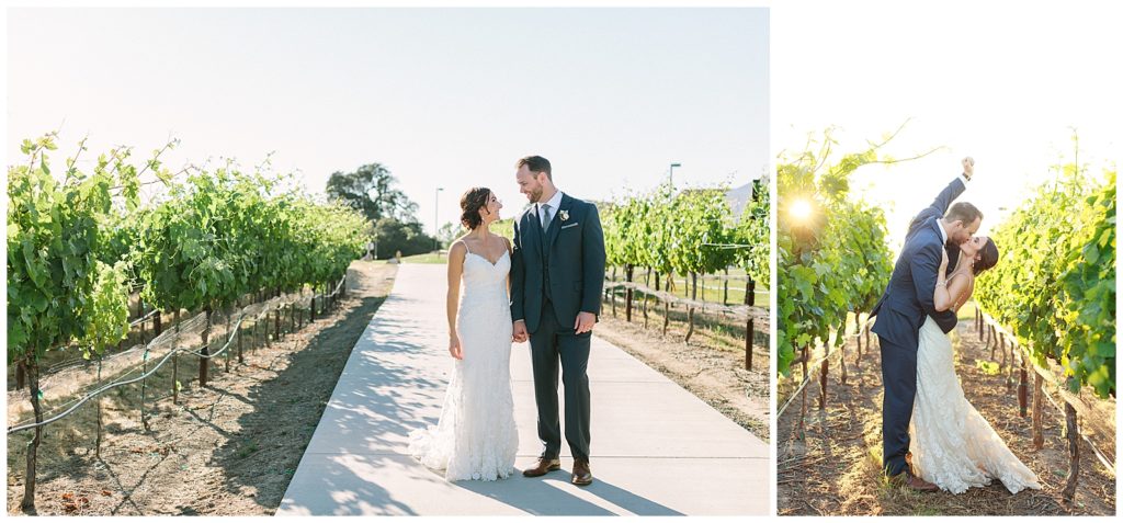 sunset portraits in the vines napa