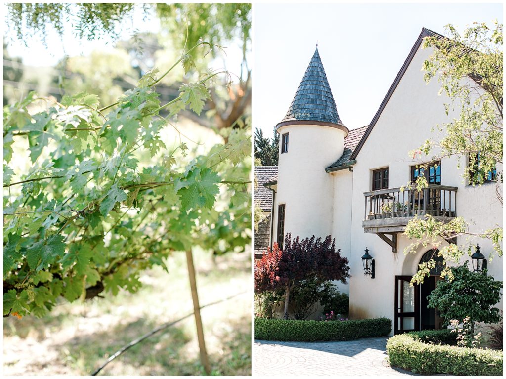 french chateau and vines california
