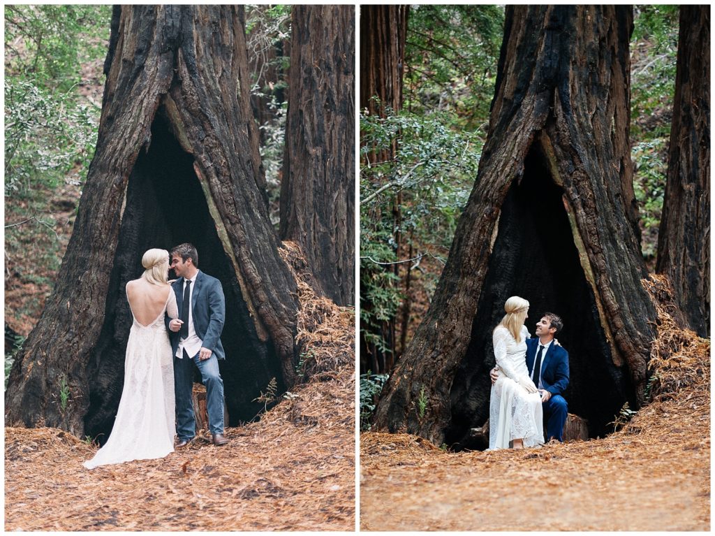 Redwoods-ags-photo-art-
