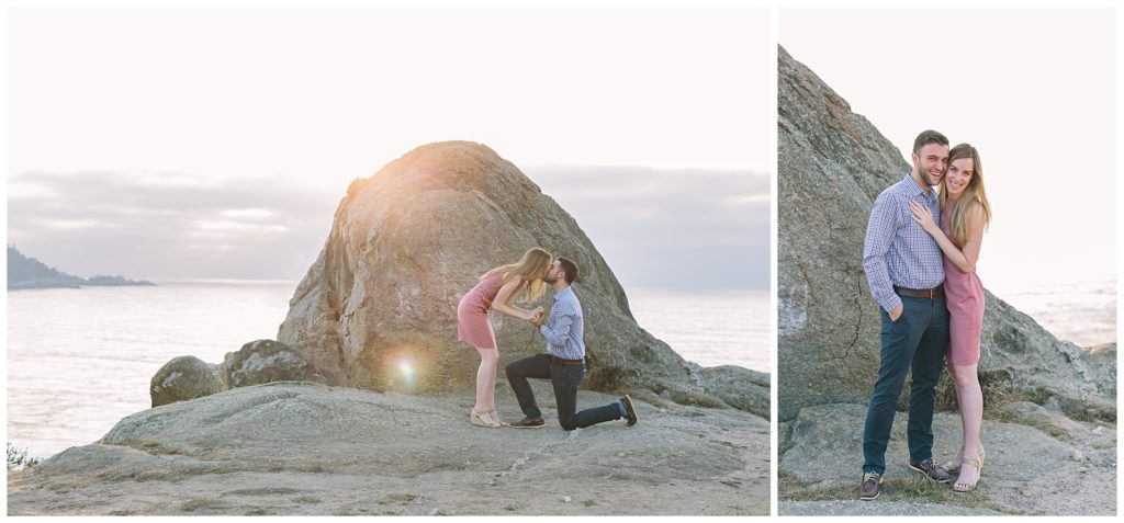 surprise-proposal-ags-photo-art-california