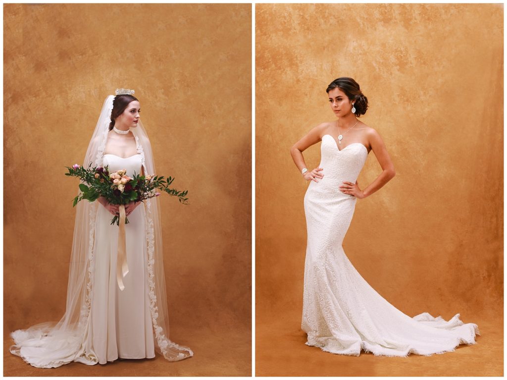 ags-photo-art-bridal-portraits-editorial-bride