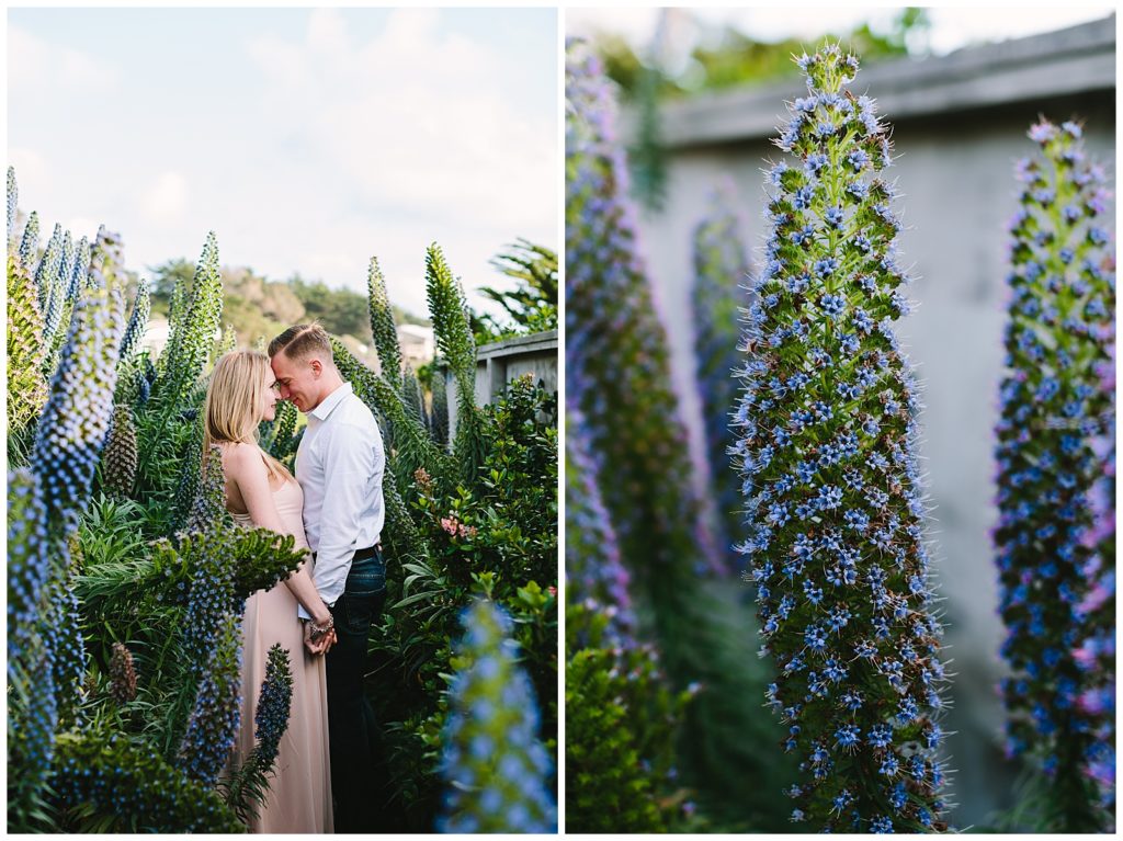 couple touching foreheads in a garden surrounded by tall blue plants