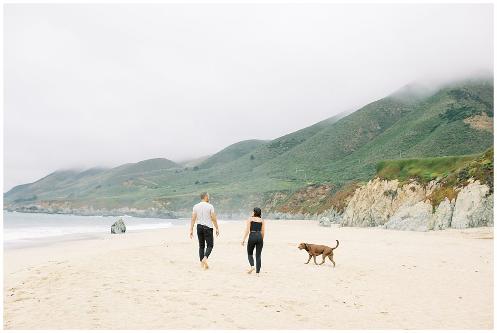 couple walking down the beach with their dog