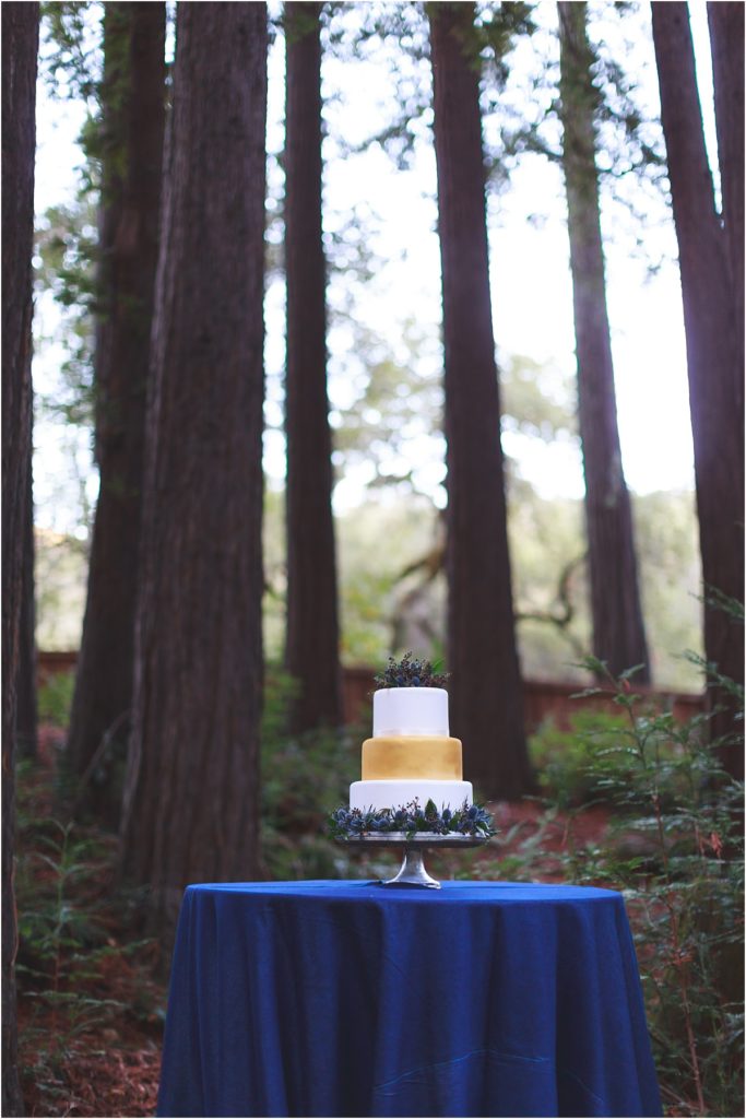 three tiered cake in redwood of Big Sur wedding planning