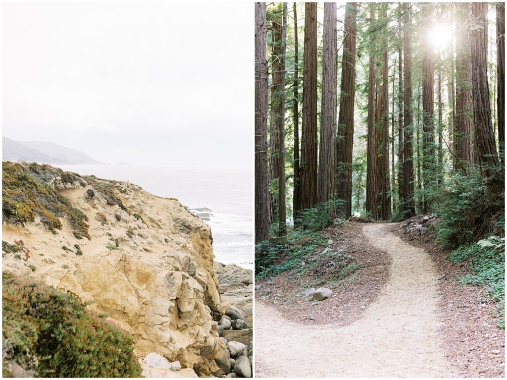 PCH elopement guide for couples in Northern California
