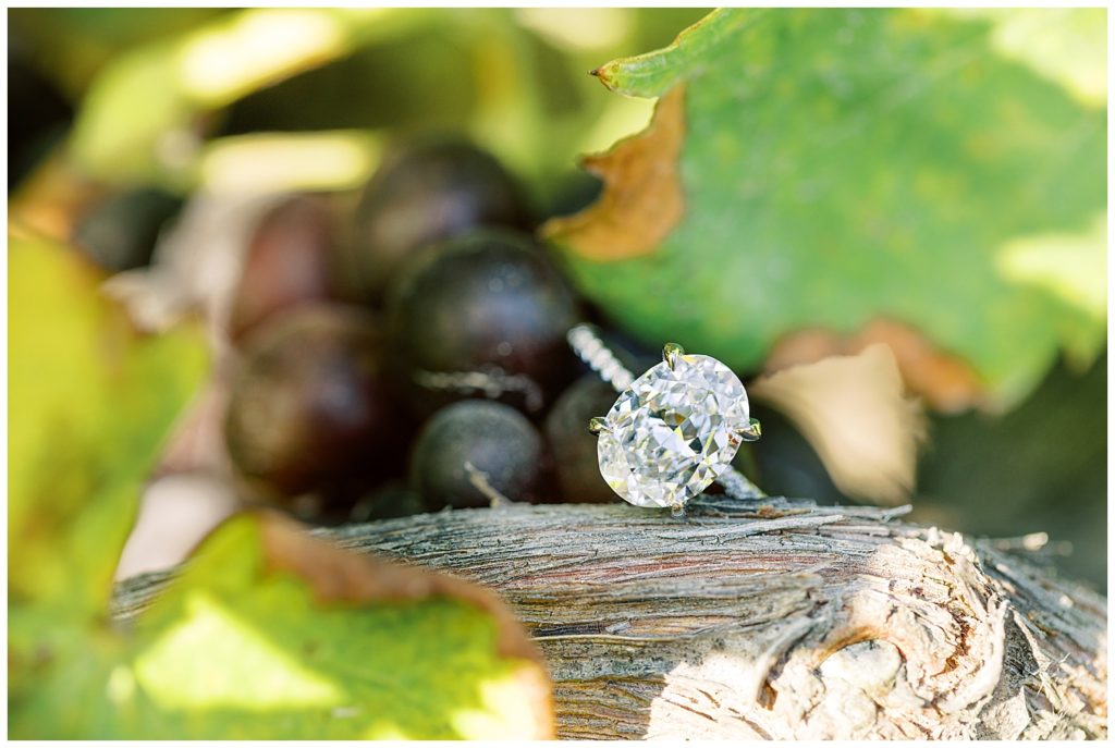 soft focus engagement ring with an oval cut, the background shows blurred wine grapes from Folktale Winery