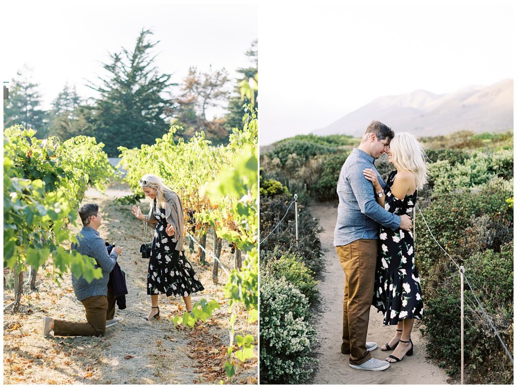 man proposing at Folktale Winery in the gardens, side by side with a portrait of the couple in each other's arms surrounded by wildlife on a trail