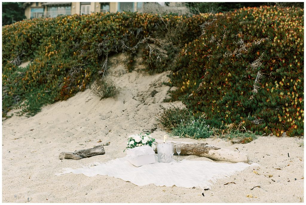 a white picnic blanket set up on the sand at the foot of a flowery hill with iced champagne by film photographer AGS Photo Art