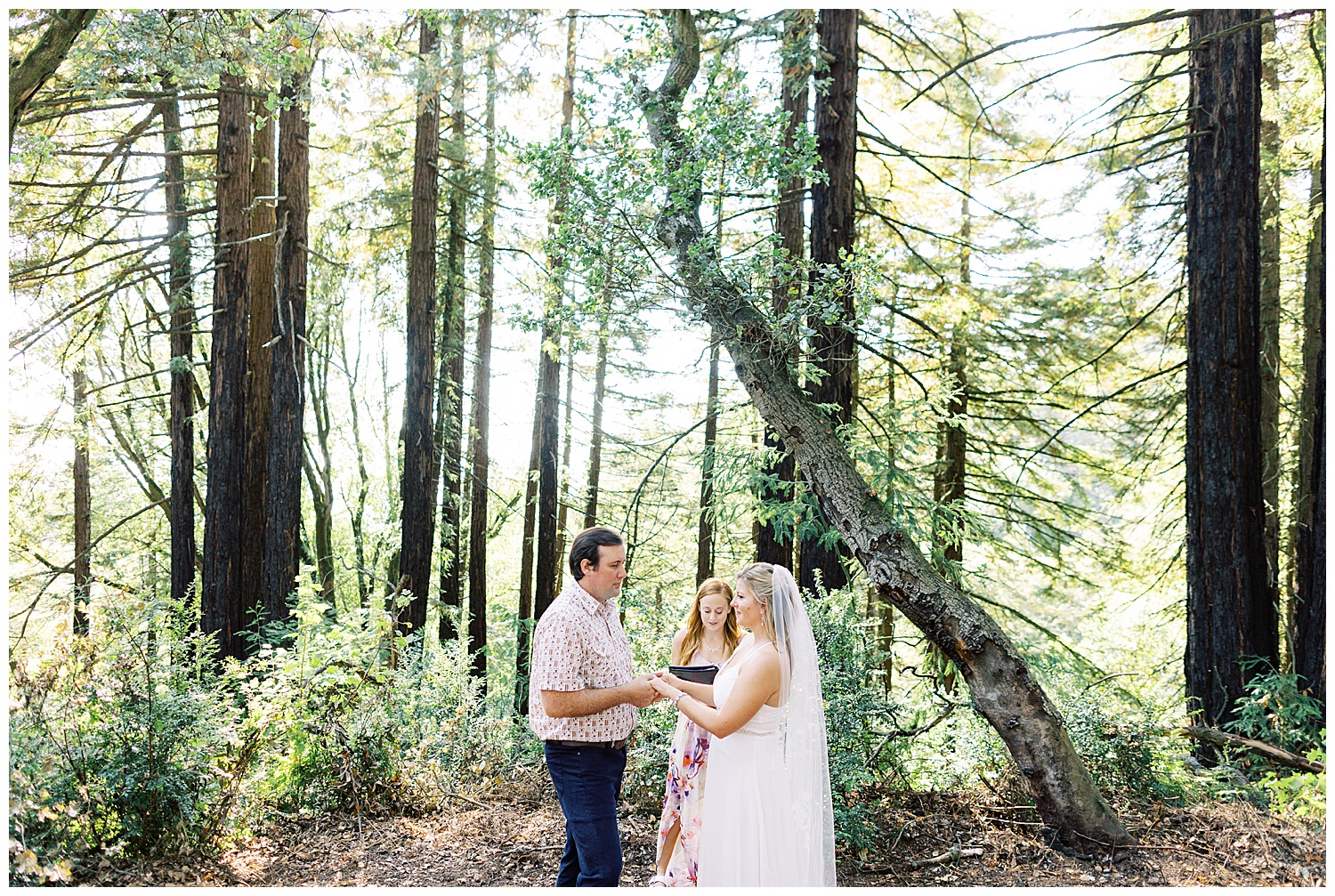the bride and groom's wedding reception in Joaquin Miller Park where they and their officiant are surrounded by mossy trees
