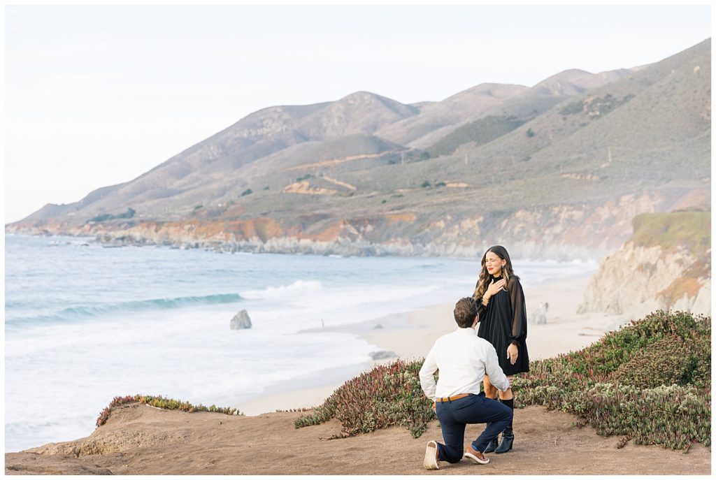 landscape couple portrait of the woman smiling and crying as her fiancé gets down on one knee