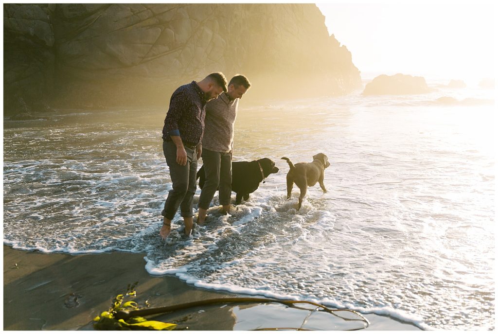 Sunset proposal portraits of two labradors playing in the water while their dads walk beside them at Pfeiffer Beach by film photographer AGS Photo Art