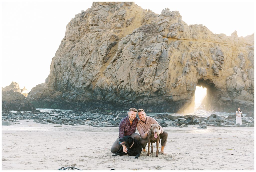 Pfeiffer Beach proposal portrait of the couple and their two labradors in front of the keyhole rock