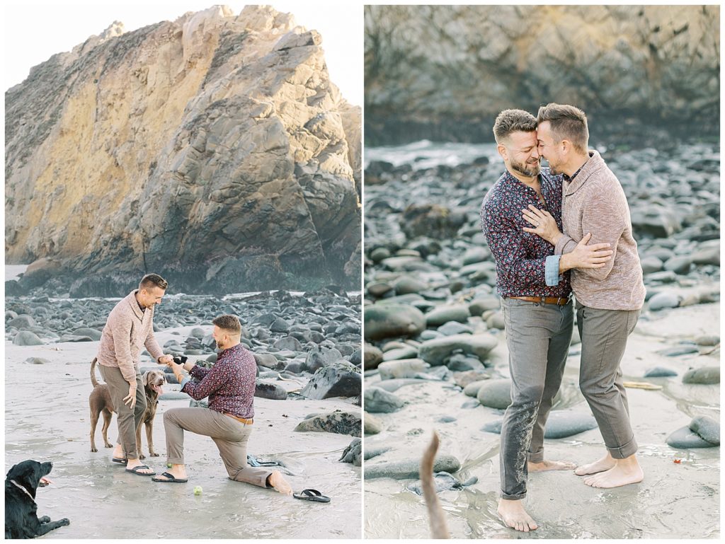 portraits at Pfeiffer Beach of the couple's proposal with their two labradors surrounding them; photo of the couple smiling and embracing one another by film photographer AGS Photo Art