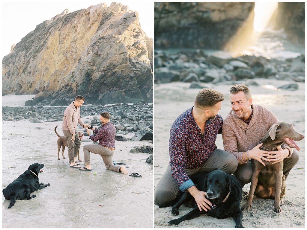 portraits of the couple and their two labradors at Pfeiffer Beach celebrating their surprise proposal by film photographer AGS Photo Art