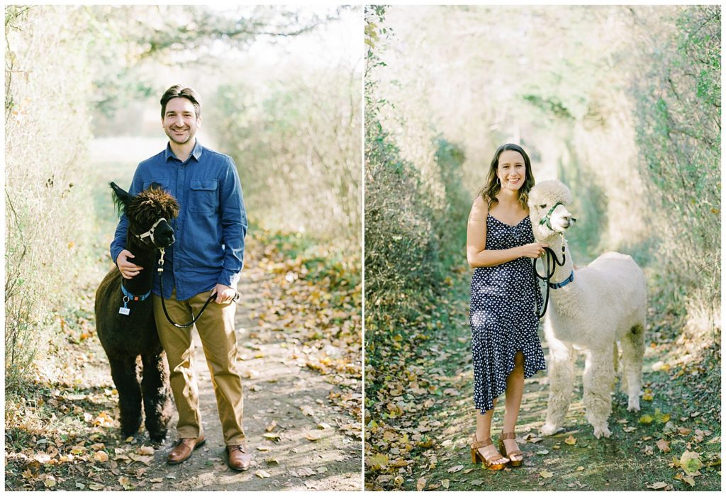 portraits of the couple on a nature trail with their alpacas; the man with a brown alpaca and the woman with a white alpaca by film photographer AGS Photo Art