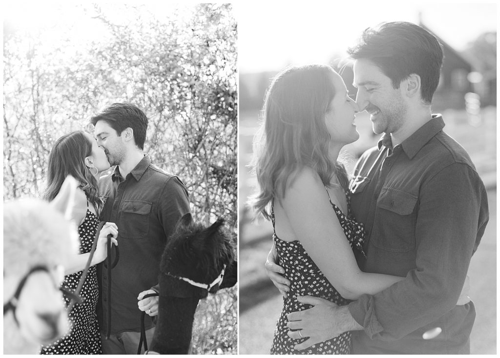 black and white portraits of the couple smiling at each other and sharing a kiss at the alpaca farm
