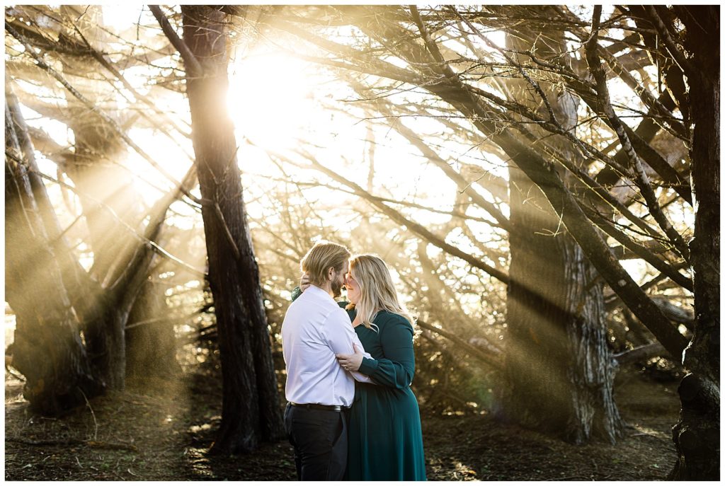 light filtering through the tree branches of the couple's Sunset Big Sur Engagement Portraits while they embrace and touch their foreheads together by film photographer AGS Photo Art