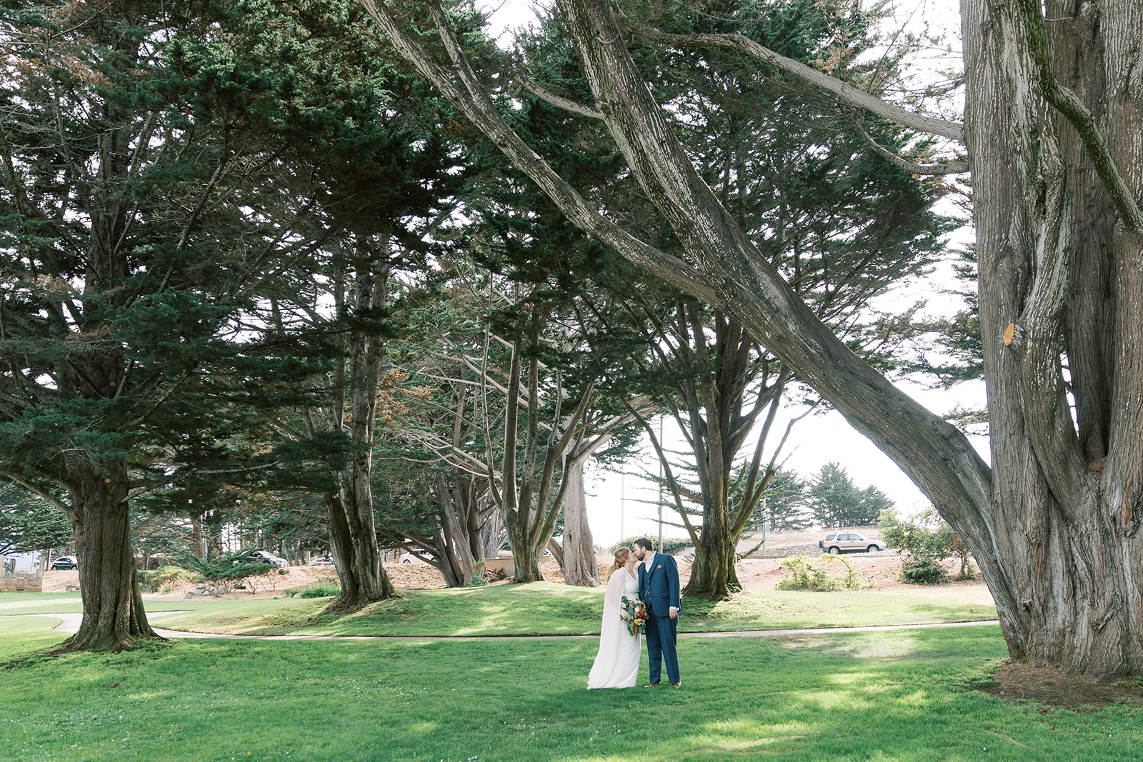 bride and groom cypress trees kissing eloping