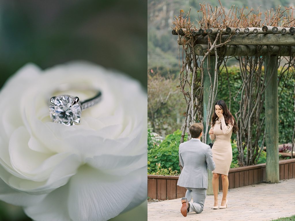 photograph of Bernardus Lodge & Spa Surprise Proposal engagement ring on top of a white rose; couple engagement portrait by film photographer AGS Photo Art