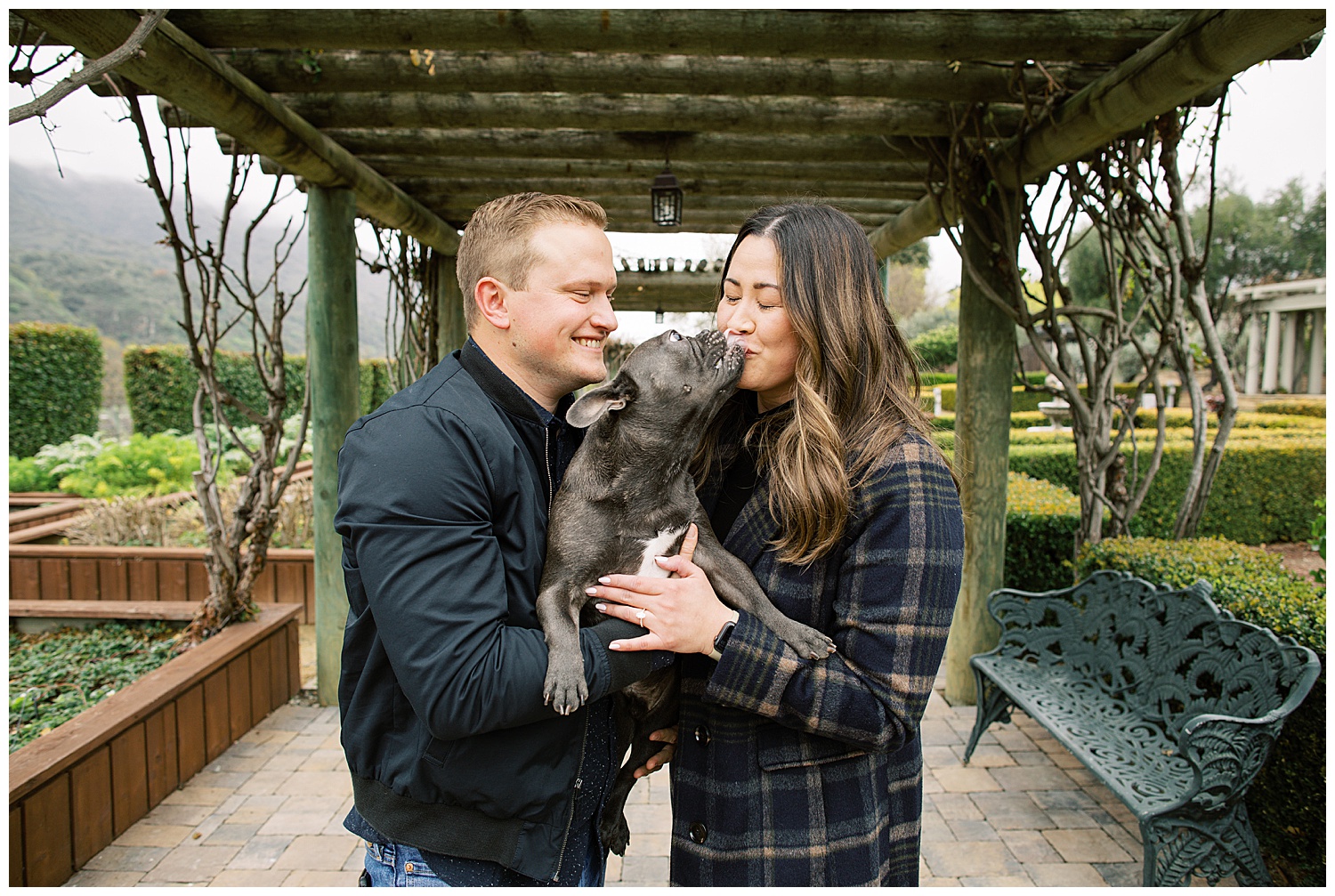 surprise proposal in Carmel Bernardus Lodge and Spa with French bulldog by film photographer AGS Photo Art