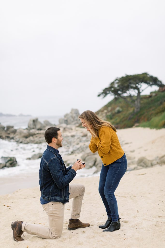man on one knee proposing to his fiancée for their Carmel by the Sea surprise proposal - 5 conferences with students; read papers beforehand - track student conferences - email instructor about using my Paper # guides for future classes - enter points for drafts