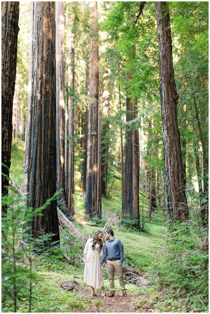 couple surrounded by redwood trees
