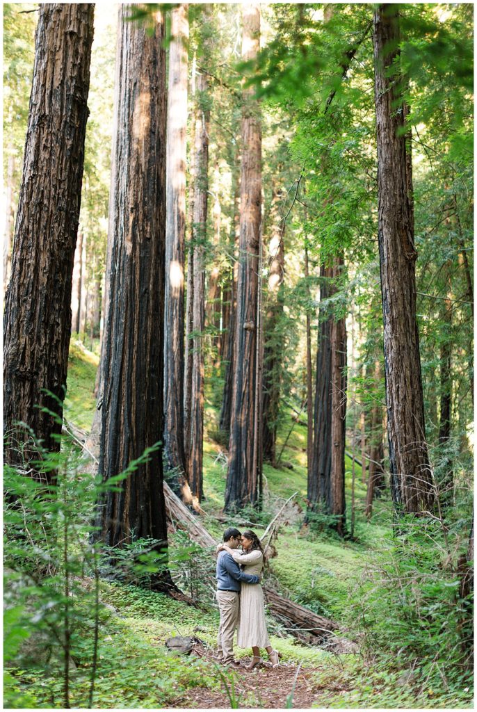 couple portrait with redwood trees