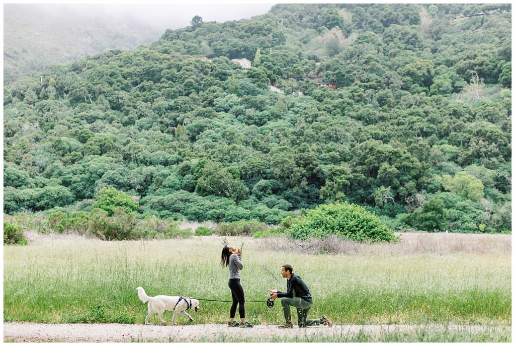 landscape photograph of couple and their dog during their surprise proposal in Carmel Valley