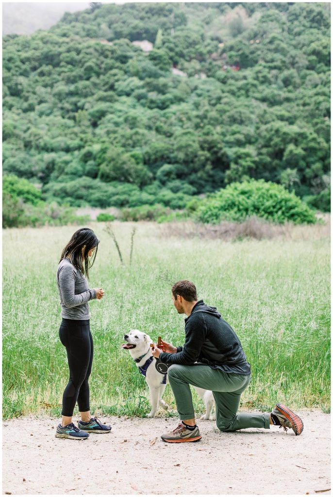 couple and their dog just after getting down on one knee for their surprise proposal