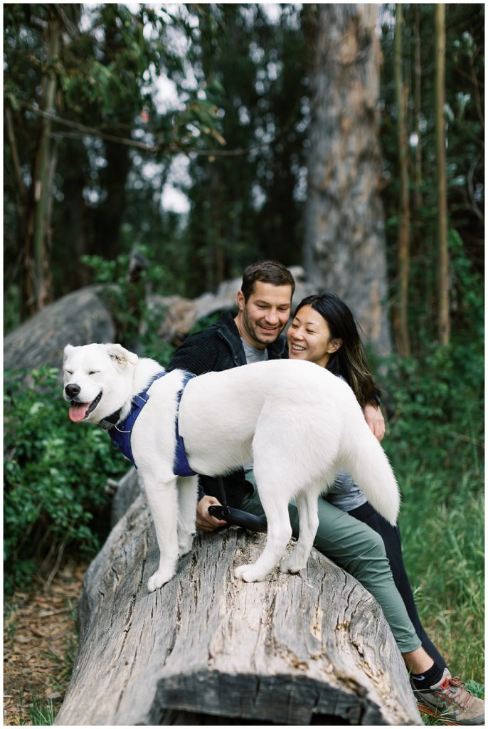 couple's dog in front of them on a fallen log smiling at the camera by film photographer AGS Photo Art