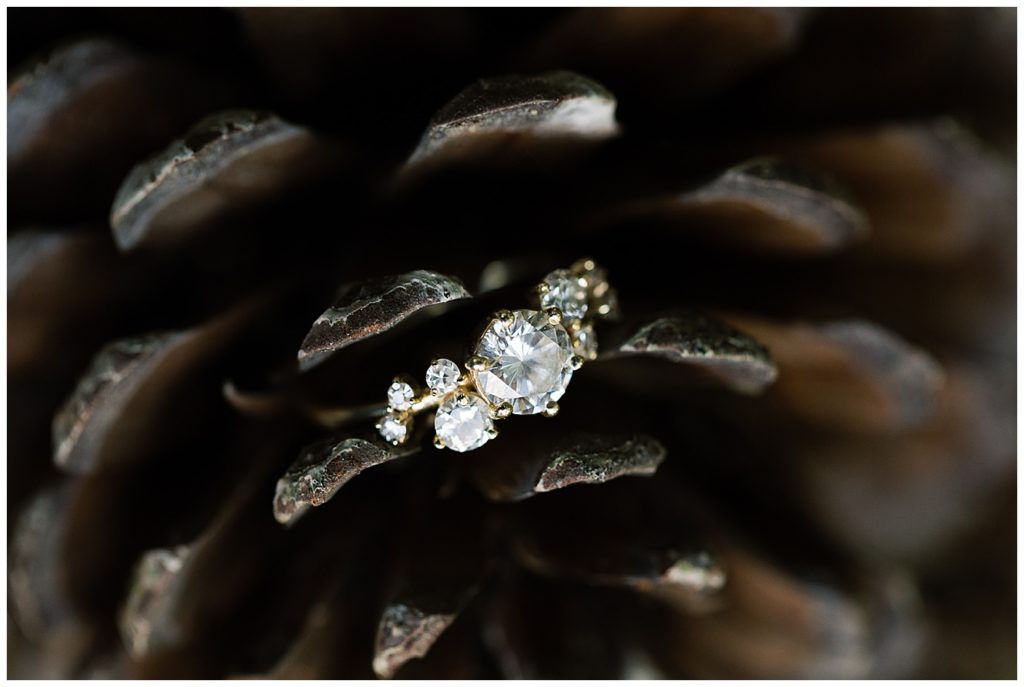 close up of Pebble Beach engagement ring in a pine cone by film photographer AGS Photo Art