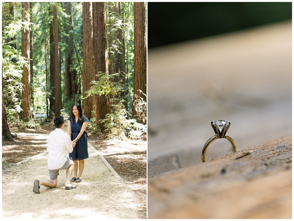 Surprise Proposal in Big Sur plus engagement ring photography by film photographer AGS Photo Art