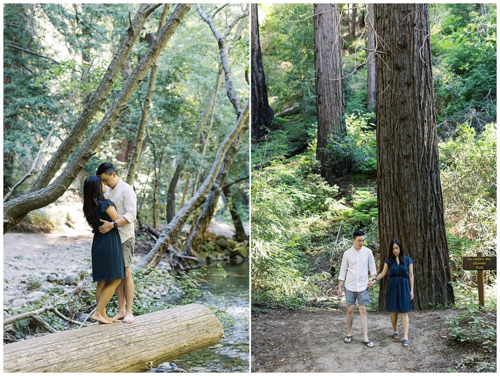 couple portraits in redwood forest by the river