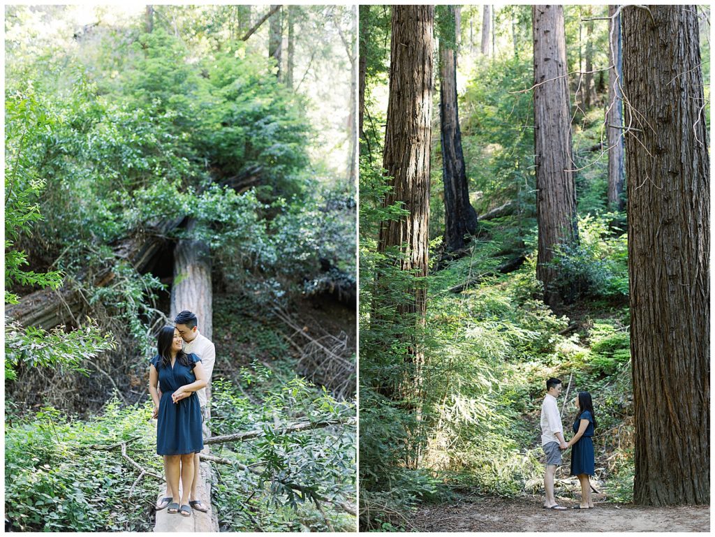 couple portraits in Ventana redwood forest in Big Sur by film photographer AGS Photo Art