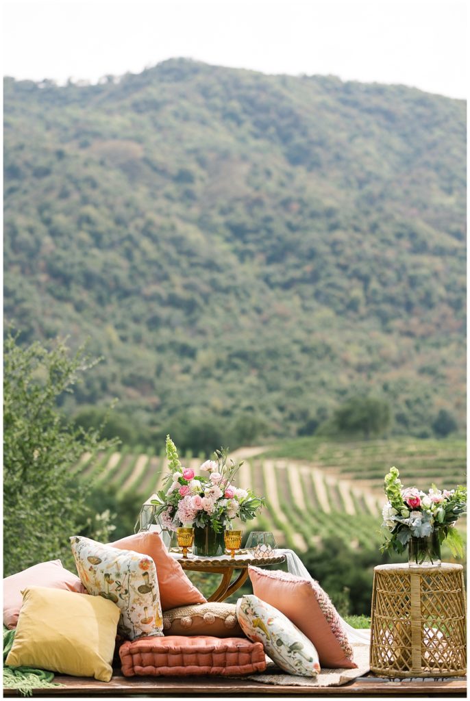 pillows and blankets set up for a surprise proposal picnic overlooking the vineyards