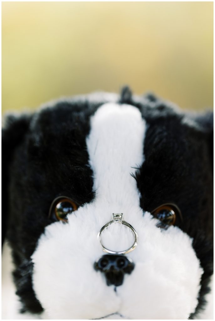 engagement ring on the bridge of a puppy plush's nose