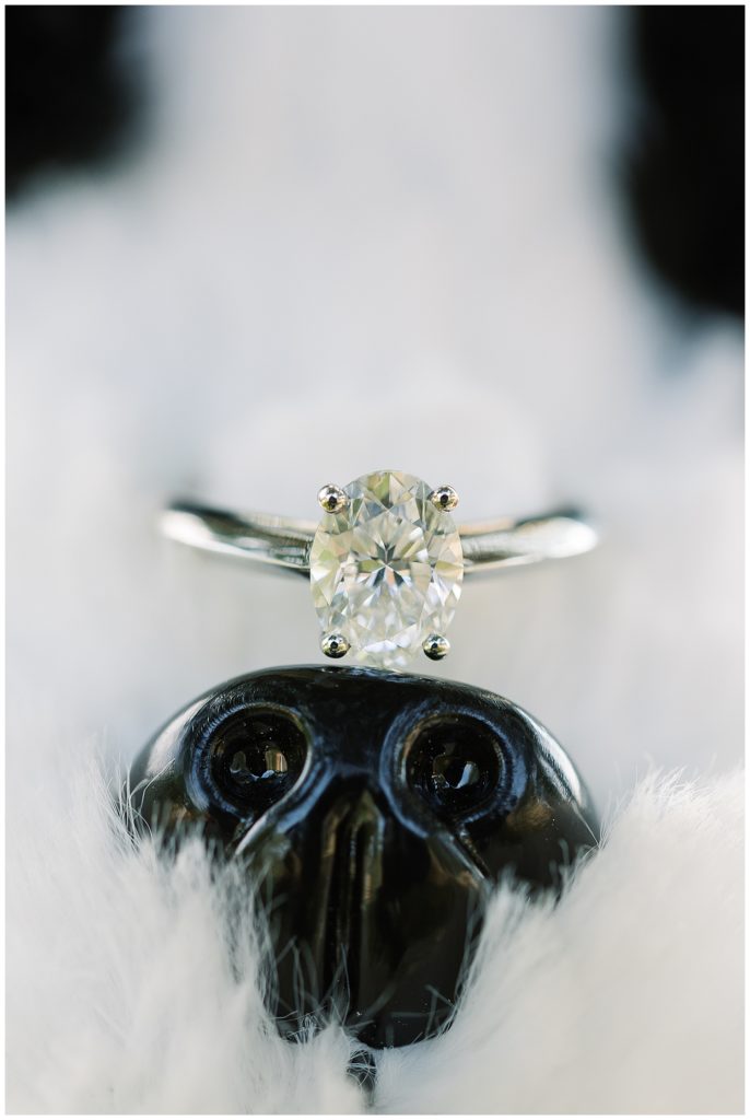 engagement ring on top of the nose of a puppy plushy