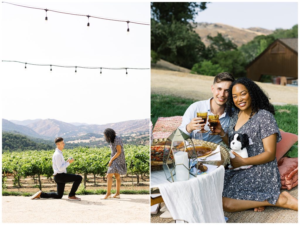 couple's surprise proposal and picnic at the vineyards in Joullian Winery