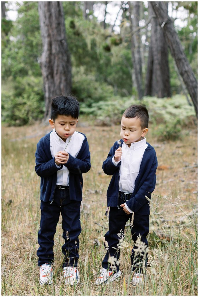 brothers blowing on dandelions