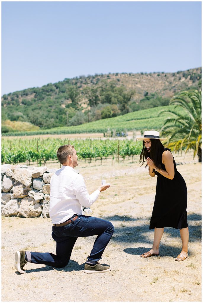 surprise proposal in action at Scribe Winery in Sonoma by film photographer AGS Photo Art