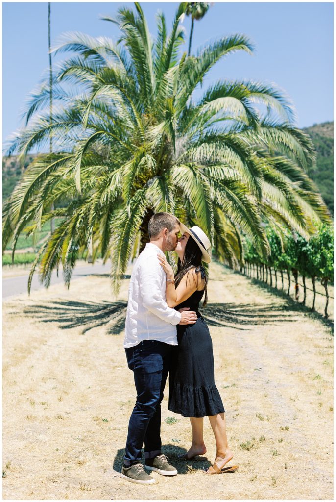 kissing couple portrait in front of palm tree in Sonoma, CA