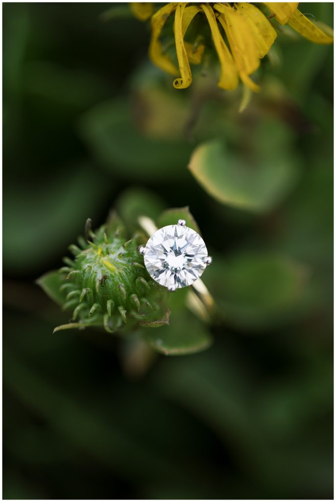 round solitaire engagement ring nestled on green leaves