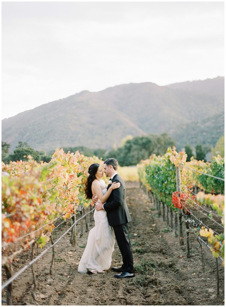 the bride and groom embracing in the middle of the vineyard