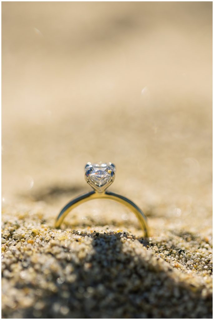 portrait of an engagement ring