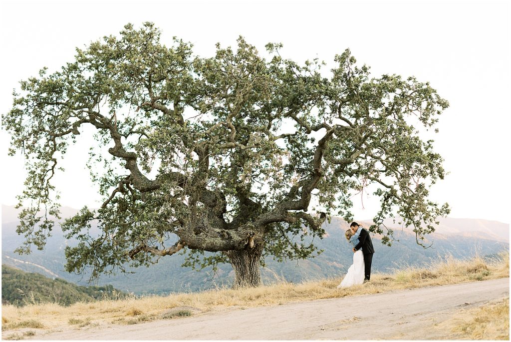 portrait of newlyweds under tree by film photographer AGS Photo Art